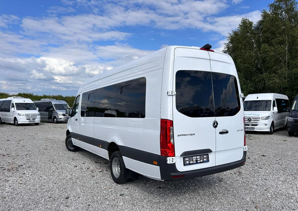 Minibús, Furgoneta de pasajeros nuevo Mercedes-Benz Sprinter 517: foto 8