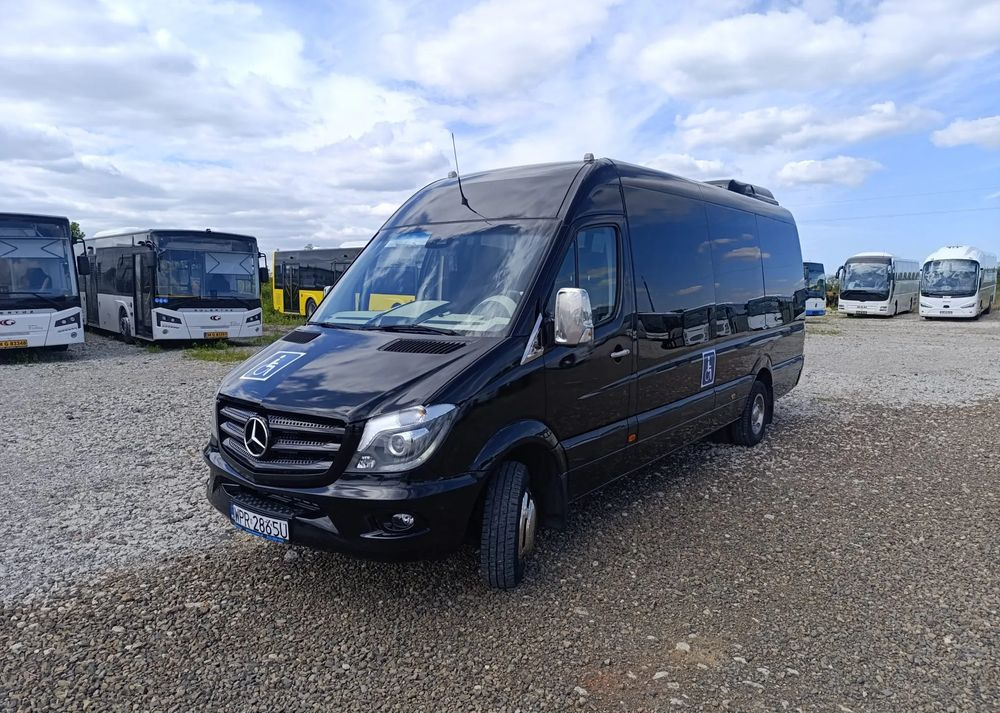 Minibús, Furgoneta de pasajeros Mercedes-Benz Sprinter 519: foto 12