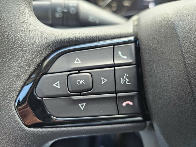 Leasing para FIAT Ducato 35 MAXI 180 Serie10-9.2 Modell 2025 L2H2... FIAT Ducato 35 MAXI 180 Serie10-9.2 Modell 2025 L2H2...: foto 30