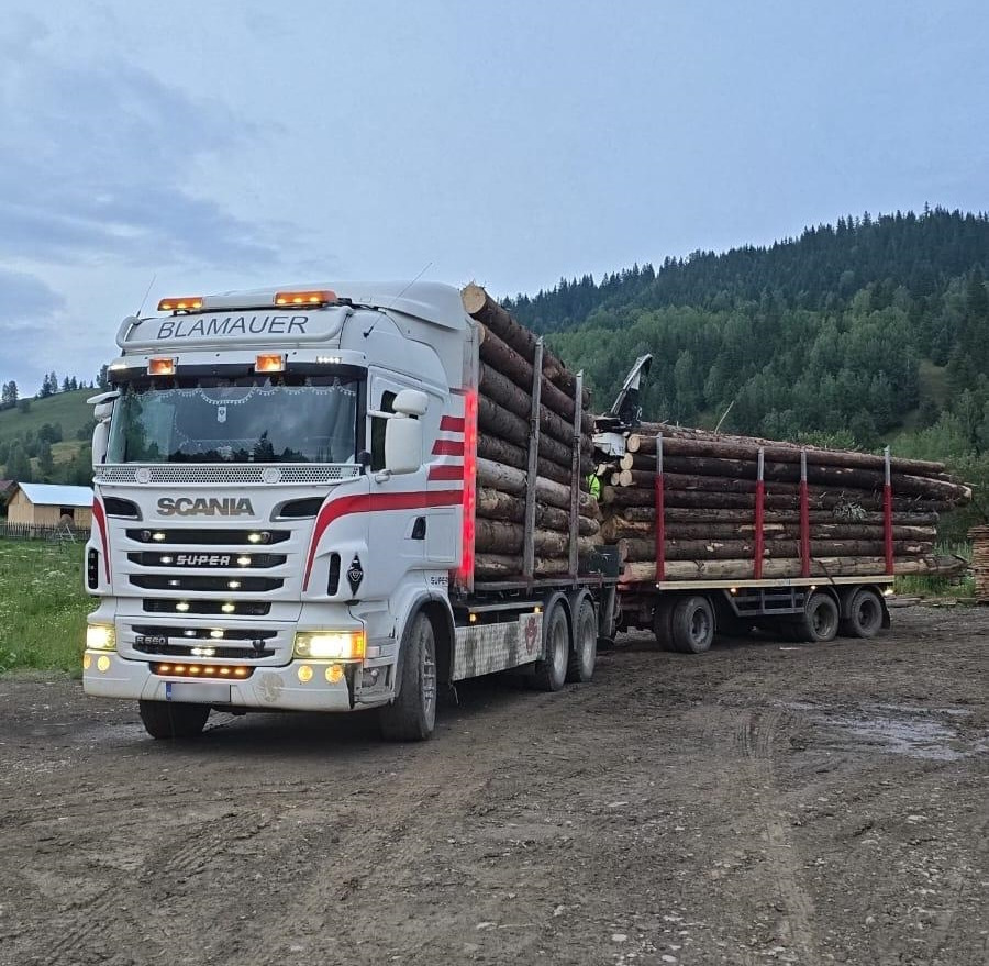 SCANIA R560 V8 - Camión forestal, Camión grúa: foto 1 SCANIA R560 V8 - Camión forestal, Camión grúa: foto 1