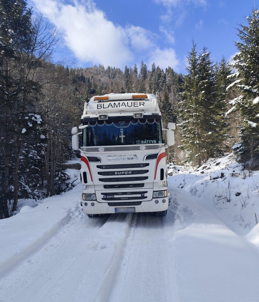SCANIA R560 V8 - Camión forestal, Camión grúa: foto 4 SCANIA R560 V8 - Camión forestal, Camión grúa: foto 4