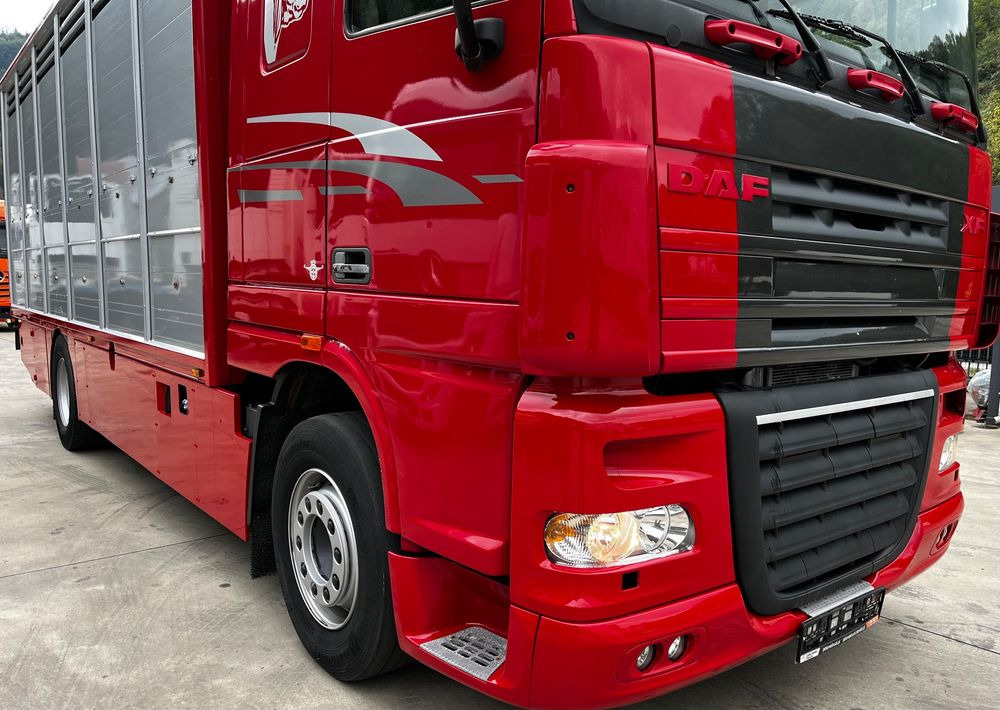 DAF XF 105.460 Euro 5 // Manual // Retarder // Do Żywca / Bydła / Zwierząt / - Camión transporte de ganado: foto 3 DAF XF 105.460 Euro 5 // Manual // Retarder // Do Żywca / Bydła / Zwierząt / - Camión transporte de ganado: foto 3