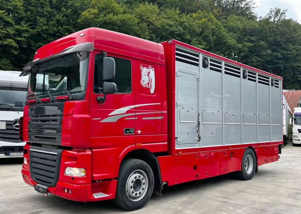 DAF XF 105.460 Euro 5 // Manual // Retarder // Do Żywca / Bydła / Zwierząt / - Camión transporte de ganado: foto 1 DAF XF 105.460 Euro 5 // Manual // Retarder // Do Żywca / Bydła / Zwierząt / - Camión transporte de ganado: foto 1