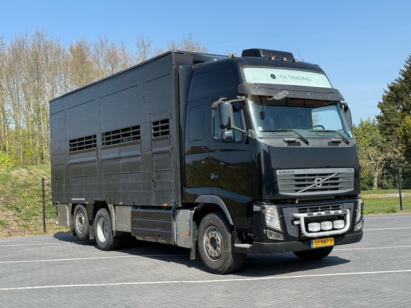 Volvo FH 13.540 STEERING, RETARDER, DOUBLE FLOOR, LIVE STOCK. - Camión transporte de ganado: foto 2 Volvo FH 13.540 STEERING, RETARDER, DOUBLE FLOOR, LIVE STOCK. - Camión transporte de ganado: foto 2