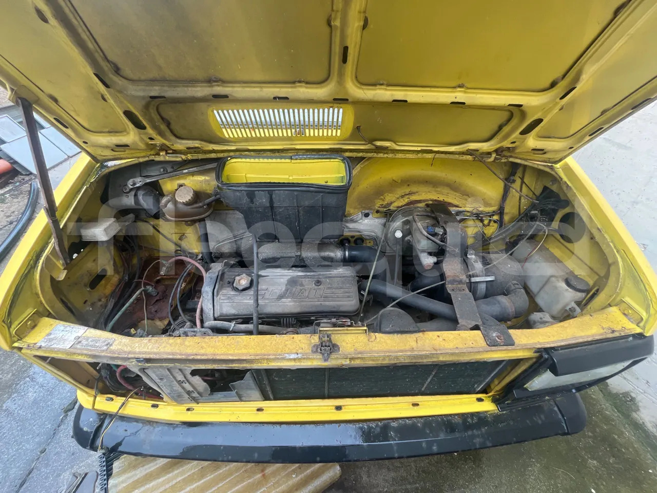 Autobús escolar Bundle di 4 mezzi Iveco - Cacciamali Fiat - Coriasco Iveco - Cacciamali Iveco - Cacciamali: foto 10