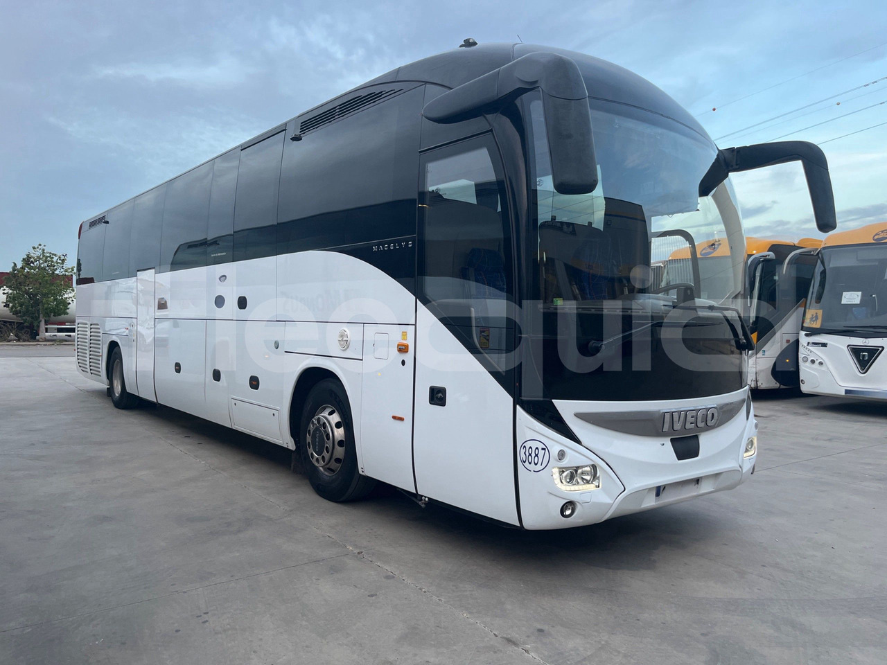 Iveco Magelys - Autocar: foto 1 Iveco Magelys - Autocar: foto 1