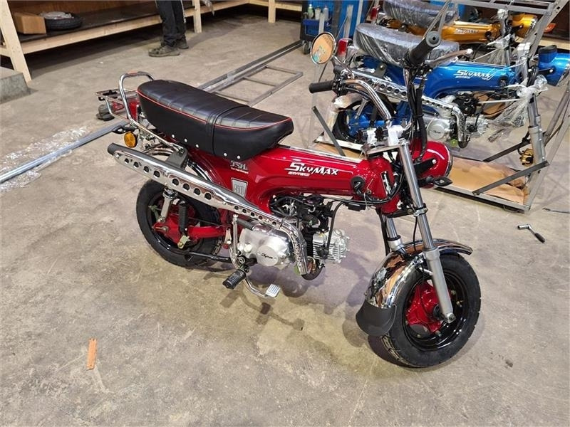 - - - SKYTEAM DAX - Motocicleta: foto 1 - - - SKYTEAM DAX - Motocicleta: foto 1
