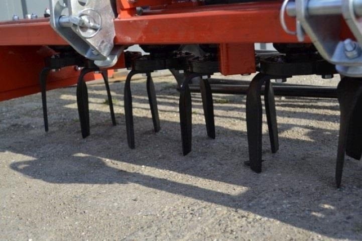 - - - boxer - Grada: foto 4 - - - boxer - Grada: foto 4