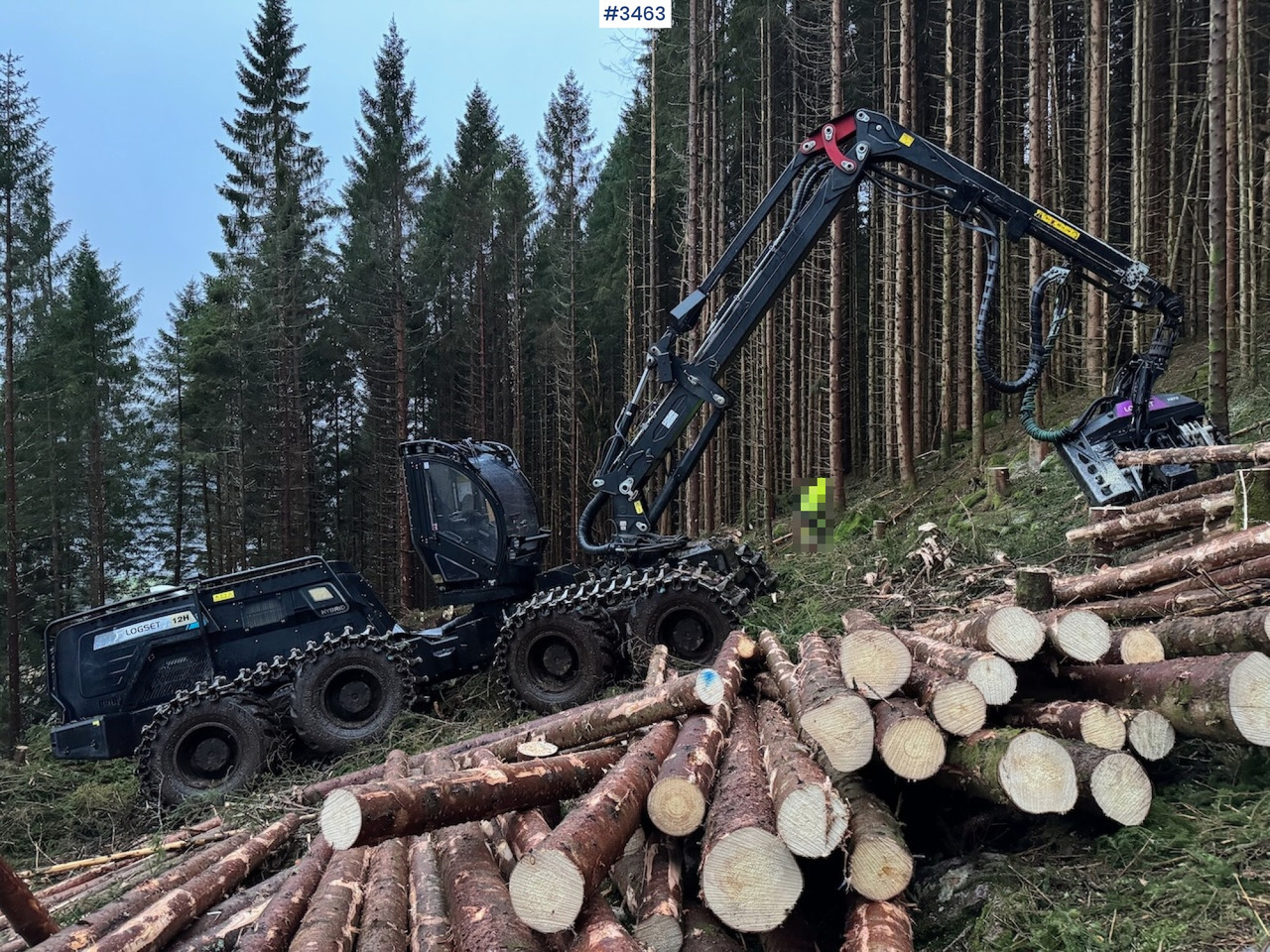 2022 Logset 12H GTE - Procesadora forestal: foto 1 2022 Logset 12H GTE - Procesadora forestal: foto 1