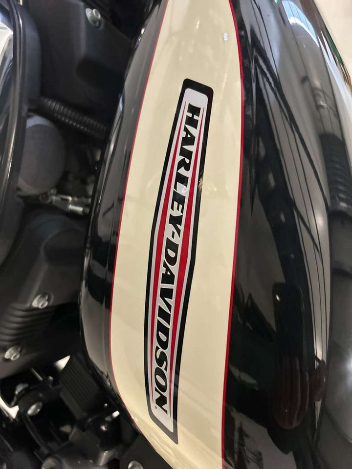 Remolque para moto 2006 Harley-Davidson XL Sportster 1200 Roadster: foto 11