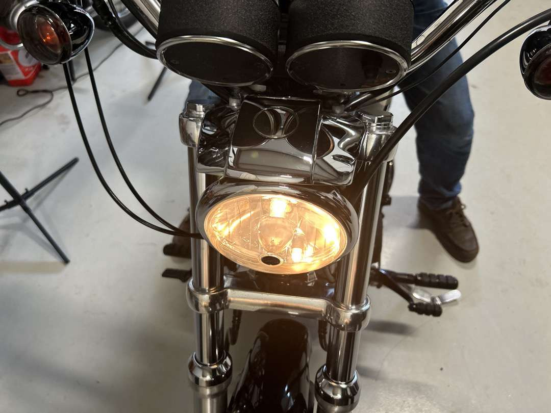 Remolque para moto 2006 Harley-Davidson XL Sportster 1200 Roadster: foto 15