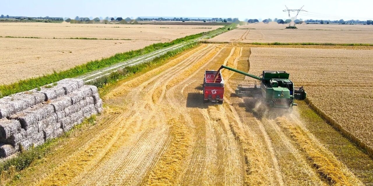 Metal-Fach Przyczepa skorupowa tandem T935/2 – 16t - Remolque agrícola: foto 5 Metal-Fach Przyczepa skorupowa tandem T935/2 – 16t - Remolque agrícola: foto 5