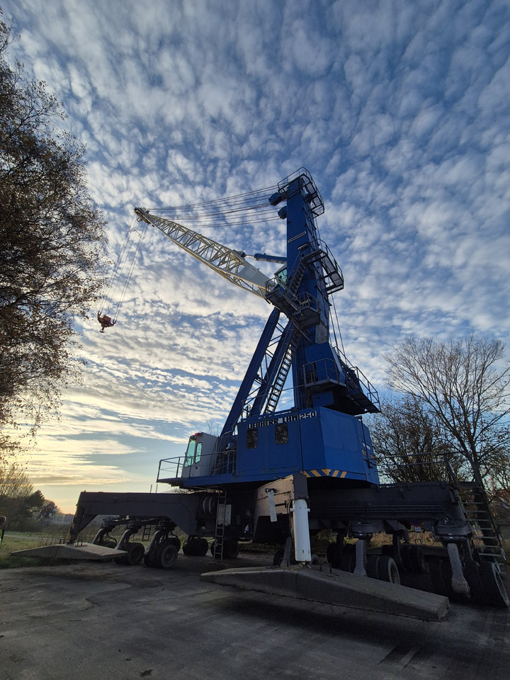 Liebherr LHM250 - Equipo portuario: foto 1 Liebherr LHM250 - Equipo portuario: foto 1