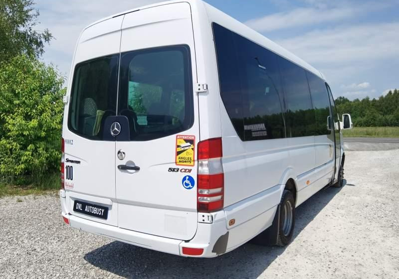 Autobús suburbano Mercedes-Benz Sprinter *klima*webasto*: foto 15