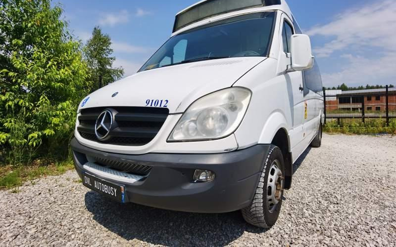 Autobús suburbano Mercedes-Benz Sprinter *klima*webasto*: foto 13