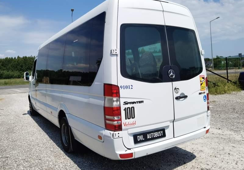 Autobús suburbano Mercedes-Benz Sprinter *klima*webasto*: foto 16