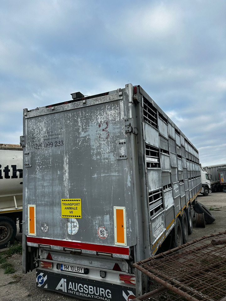 PEZZAIOLLI Animal Transport Semi-trailer - Semirremolque transporte de ganado: foto 3 PEZZAIOLLI Animal Transport Semi-trailer - Semirremolque transporte de ganado: foto 3