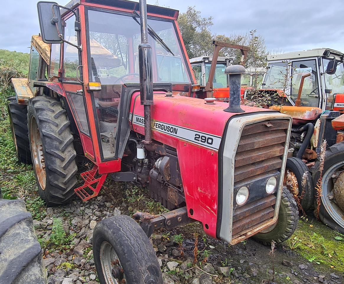290 2wd - Tractor: foto 1 290 2wd - Tractor: foto 1