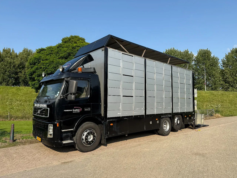 Volvo FM 300 Livestock Cuppers 3 laags 6x2 - Camión transporte de ganado: foto 1 Volvo FM 300 Livestock Cuppers 3 laags 6x2 - Camión transporte de ganado: foto 1