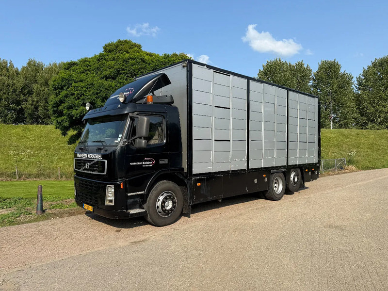 Volvo FM 300 Livestock Cuppers 3 laags 6x2 - Camión transporte de ganado: foto 3 Volvo FM 300 Livestock Cuppers 3 laags 6x2 - Camión transporte de ganado: foto 3