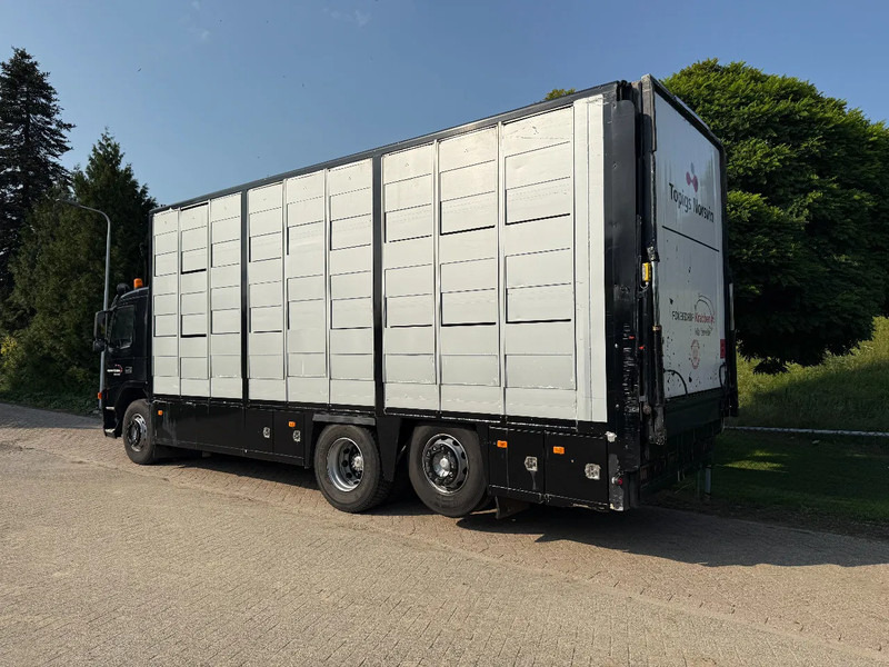 Volvo FM 300 Livestock Cuppers 3 laags 6x2 - Camión transporte de ganado: foto 5 Volvo FM 300 Livestock Cuppers 3 laags 6x2 - Camión transporte de ganado: foto 5