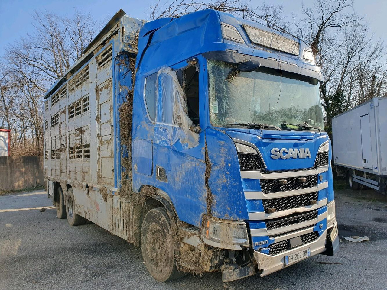 SCANIA R580 - Camión transporte de ganado: foto 1 SCANIA R580 - Camión transporte de ganado: foto 1