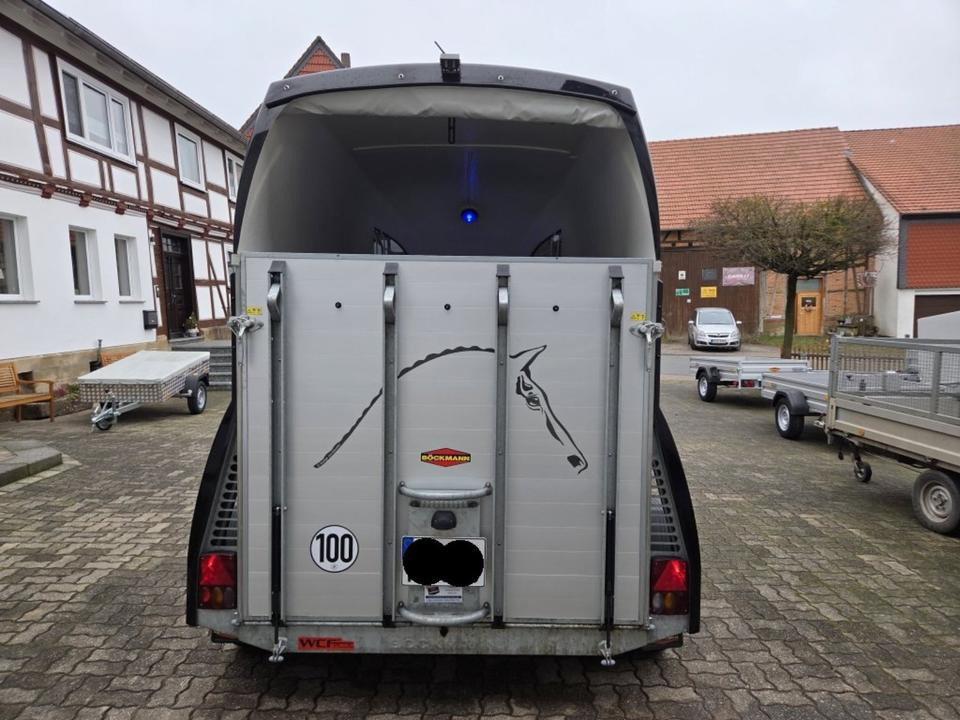 Böckmann Pferdeanhänger Champion R SaKa. WCF-Fahrwerk 100 km/h - Remolque para caballos: foto 3 Böckmann Pferdeanhänger Champion R SaKa. WCF-Fahrwerk 100 km/h - Remolque para caballos: foto 3