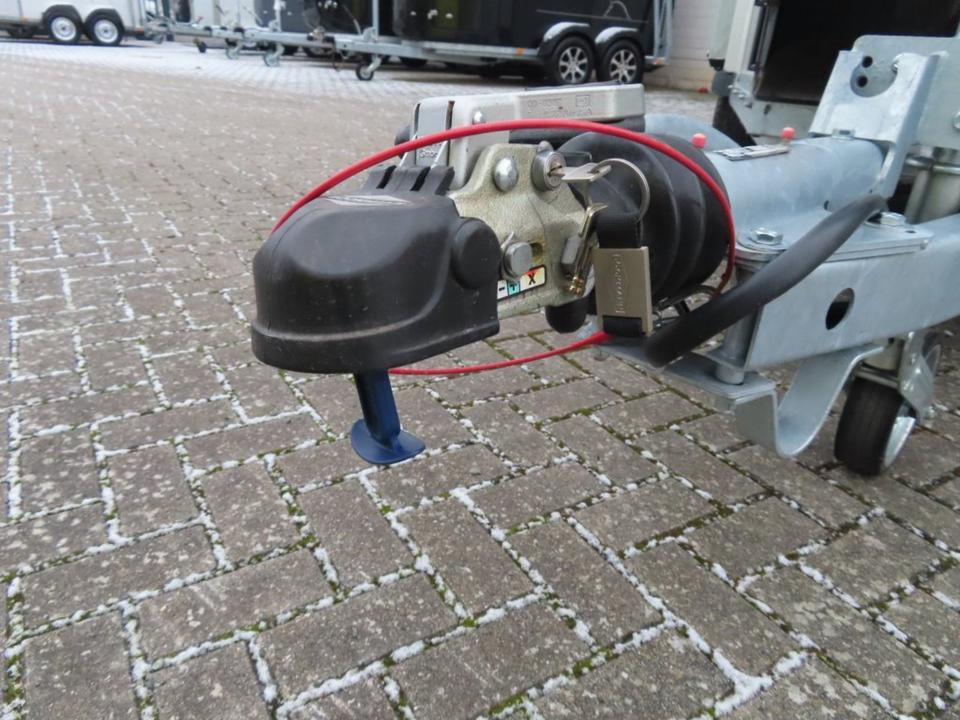 Remolque para caballos Böckmann Pferdeanhänger Champion R extra Fenster Dachlüfter SaKa.: foto 12