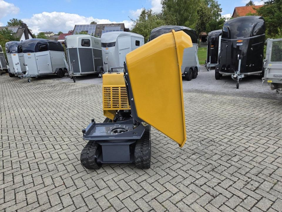 Muldendumper 1,2t Nutzlast Schwenkbar Kettendumper Mieten Leihen - Minidumper: foto 4 Muldendumper 1,2t Nutzlast Schwenkbar Kettendumper Mieten Leihen - Minidumper: foto 4