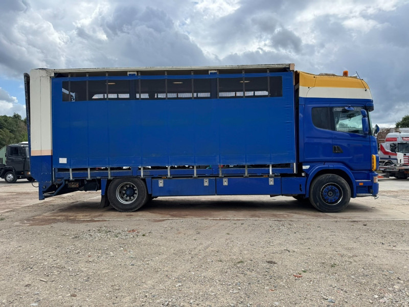 Scania 124 - 420 Topline (MANUAL GEARBOX / BOITE MANUELLE / RETARDER / PERFECT) - Camión transporte de ganado: foto 4 Scania 124 - 420 Topline (MANUAL GEARBOX / BOITE MANUELLE / RETARDER / PERFECT) - Camión transporte de ganado: foto 4