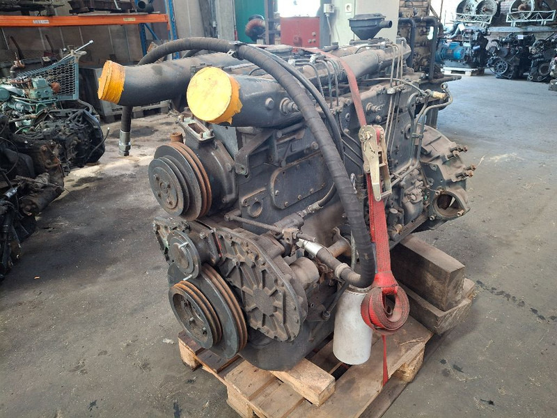 Motor DAF WS259: foto 1