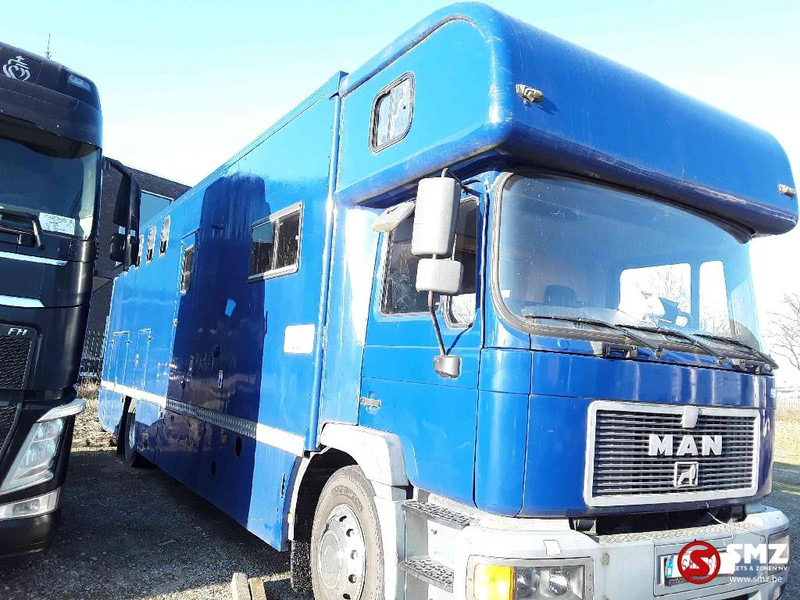 MAN 18.264 - Camión transporte de ganado: foto 3 MAN 18.264 - Camión transporte de ganado: foto 3