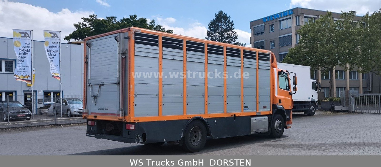 DAF CF 400 Menke Einstock Viehtransporter - Camión para caballos: foto 5 DAF CF 400 Menke Einstock Viehtransporter - Camión para caballos: foto 5