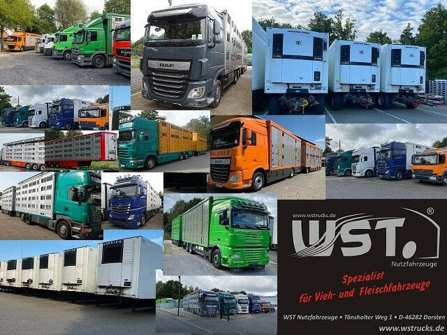 Remolque multilift/ Portacontenedores de cadenas Hüffermann HAR 20.67 Abrollanhänger Doppelbereifung: foto 17