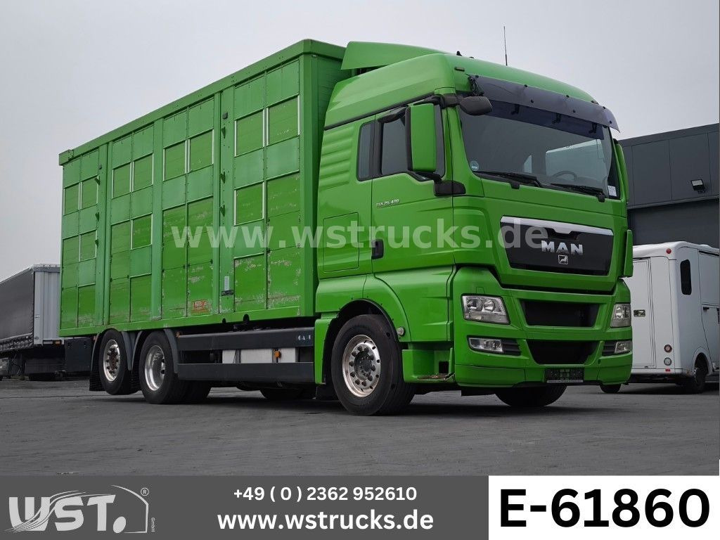 MAN TGX 26.480 XL KABA 3 Stock Vollalu - Camión transporte de ganado: foto 1 MAN TGX 26.480 XL KABA 3 Stock Vollalu - Camión transporte de ganado: foto 1