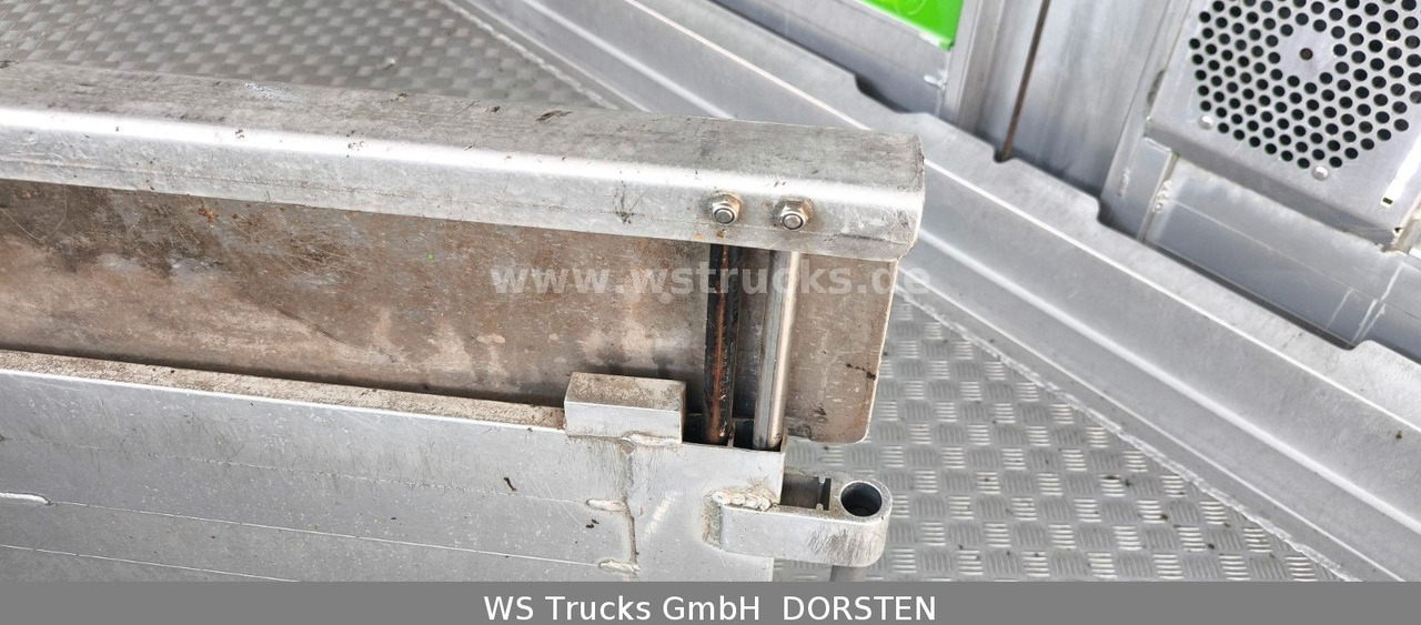 Camión para caballos MAN TGX 26.480 XL KABA   3 Stock Vollalu: foto 16