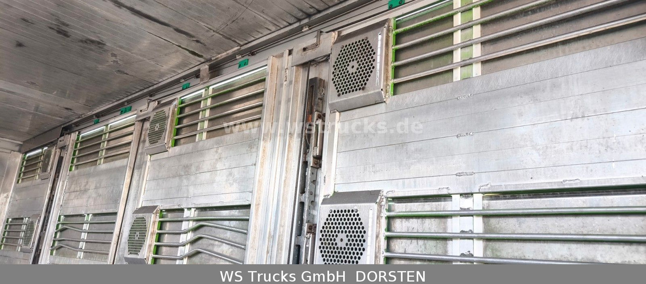Camión para caballos MAN TGX 26.480 XL KABA   3 Stock Vollalu: foto 12