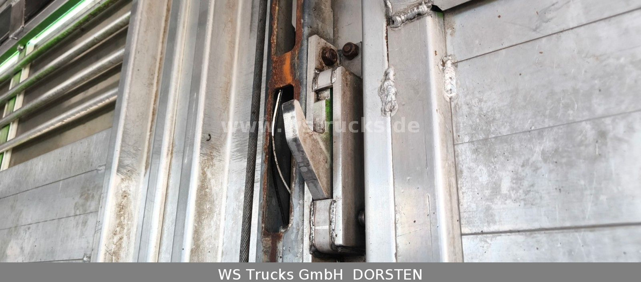 Camión para caballos MAN TGX 26.480 XL KABA   3 Stock Vollalu: foto 14
