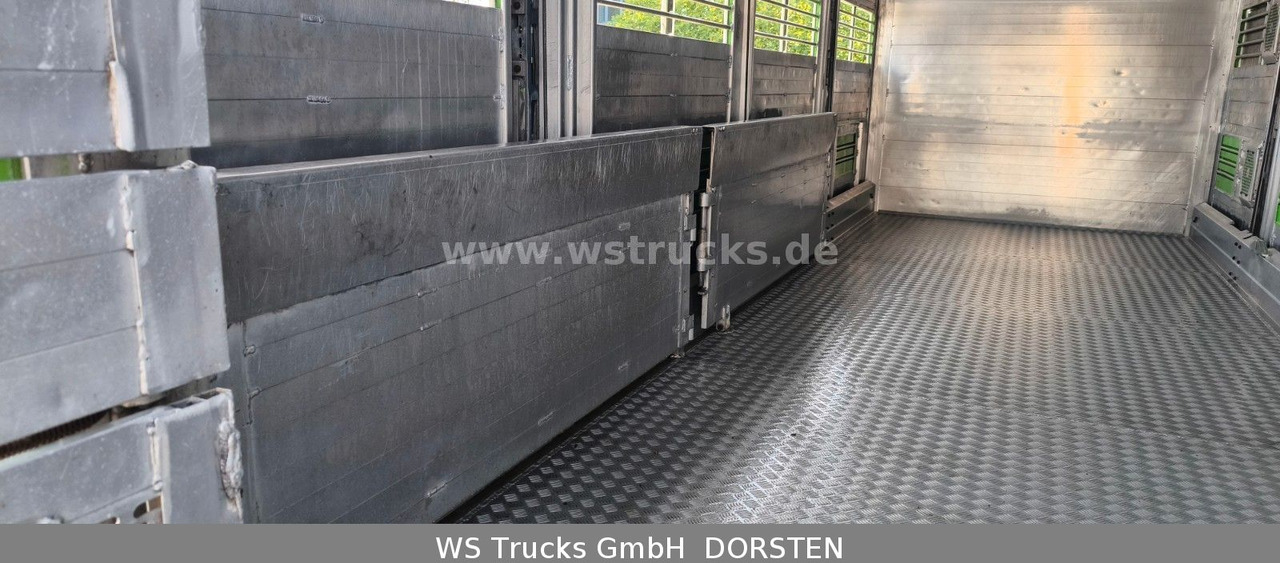 Camión para caballos MAN TGX 26.480 XL KABA   3 Stock Vollalu: foto 11