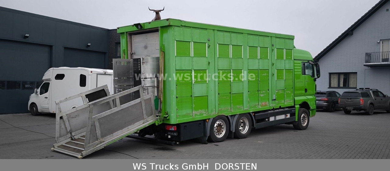 Camión para caballos MAN TGX 26.480 XL KABA   3 Stock Vollalu: foto 7