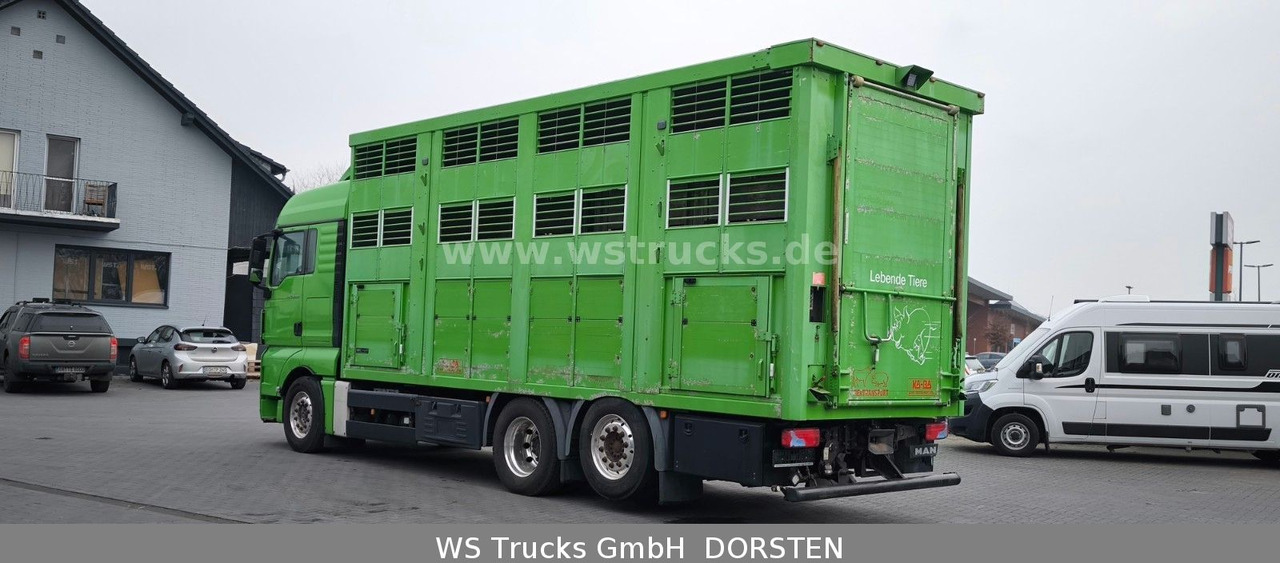 Camión para caballos MAN TGX 26.480 XL KABA   3 Stock Vollalu: foto 9