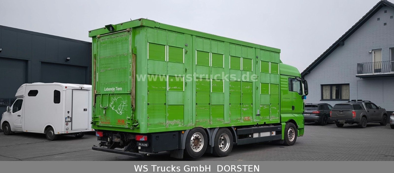 Camión para caballos MAN TGX 26.480 XL KABA   3 Stock Vollalu: foto 10