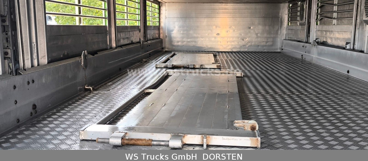 Camión para caballos MAN TGX 26.480 XL KABA   3 Stock Vollalu: foto 19