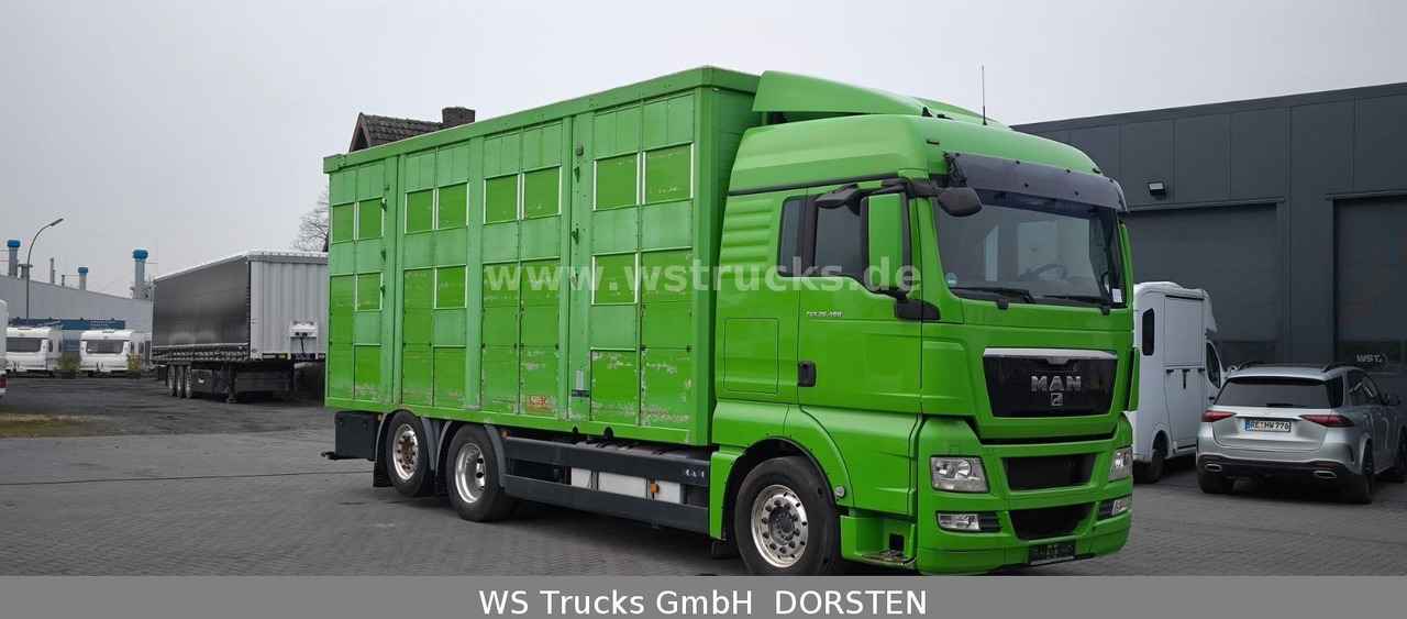 MAN TGX 26.480 XL KABA 3 Stock Vollalu - Camión transporte de ganado: foto 3 MAN TGX 26.480 XL KABA 3 Stock Vollalu - Camión transporte de ganado: foto 3