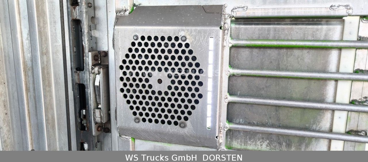 Camión para caballos MAN TGX 26.480 XL KABA   3 Stock Vollalu: foto 13