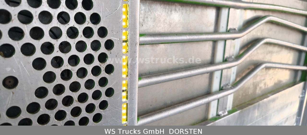 Camión para caballos MAN TGX 26.480 XL KABA   3 Stock Vollalu: foto 15