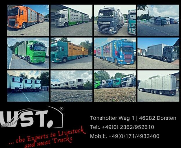 Camión para caballos MAN TGX 26.480 XL KABA   3 Stock Vollalu: foto 33