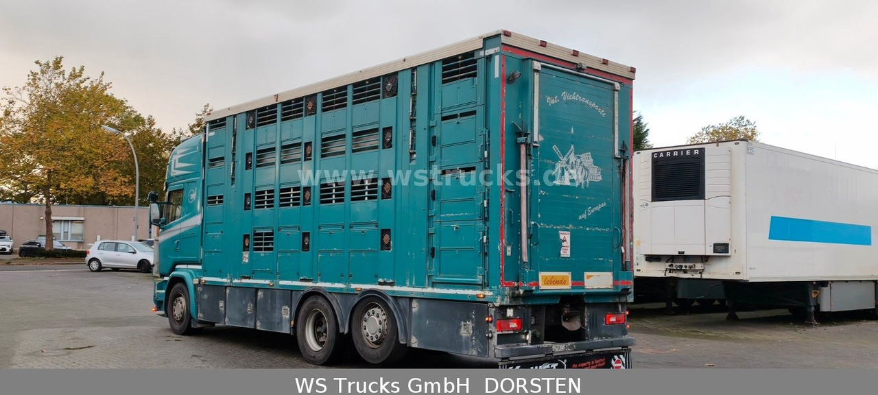 Scania R 490 Topline Menke 4 Stock Hubdach | Retader - Camión para caballos: foto 4 Scania R 490 Topline Menke 4 Stock Hubdach | Retader - Camión para caballos: foto 4