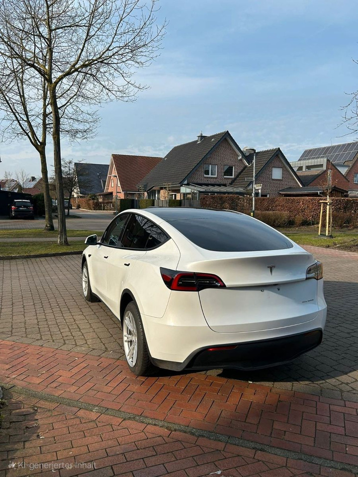 Tesla Model Y Long Range Dual AWD - Sedan: foto 3 Tesla Model Y Long Range Dual AWD - Sedan: foto 3