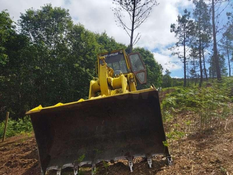 Caterpillar 963 - Cargadora de cadenas: foto 4 Caterpillar 963 - Cargadora de cadenas: foto 4